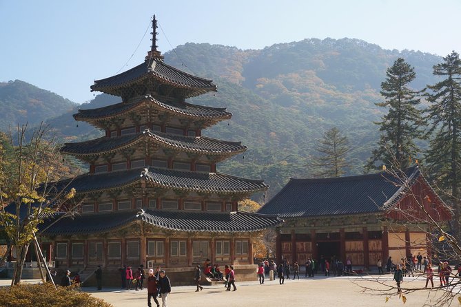 Songnisan National Park & Beopjusa Temple UNESCO site Private Tour - Why the private guide matters here