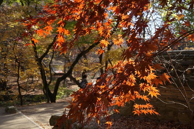 Songnisan National Park & Beopjusa Temple UNESCO site Private Tour - Is $248 per person good value?