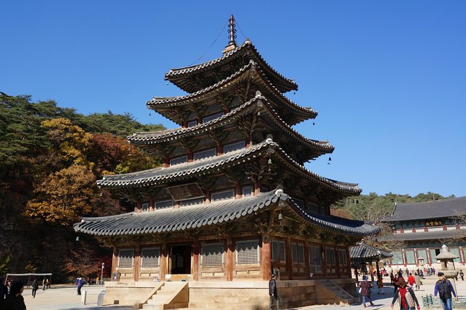 Songnisan National Park & Beopjusa Temple UNESCO site Private Tour - Choosing between the two-hour walk and Munjangdae