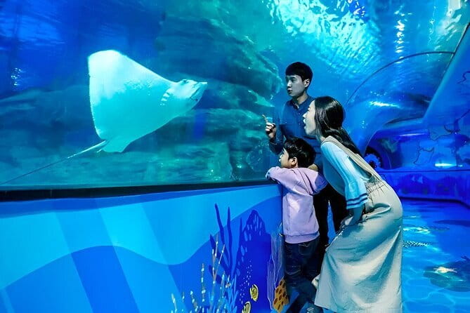 South Korea a Sea Life Busan - Entering the aquarium and getting your bearings