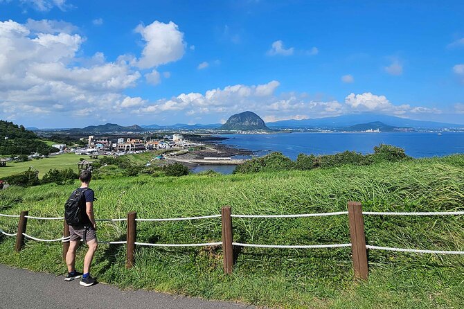 South-West Jeju Essentials: Hallasan & Signature Highlights - Why this southwest route works without a rental car