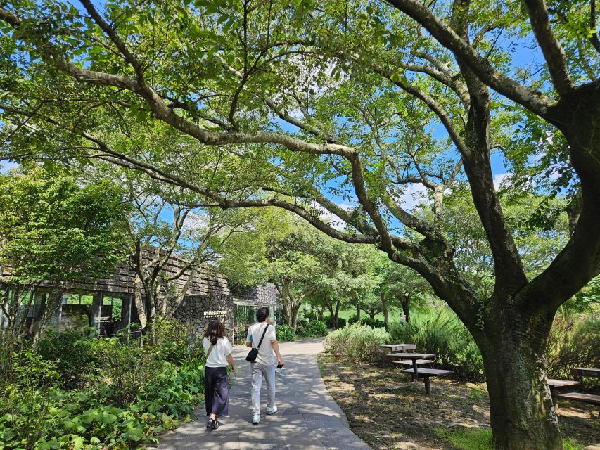 South-West Jeju Essentials: Hallasan & Signature Highlights - Lunch, transport, and the real value of $55