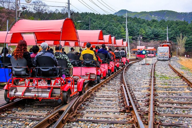 Special Private Tour Nami Island, Rail Bike, Petite France - The guide can shape the whole day