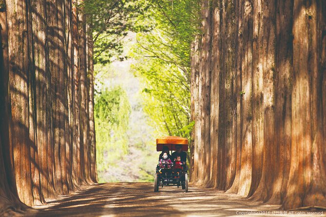 Special Private Tour Nami Island, Rail Bike, Petite France - Timing, traffic, and the real cost of the day