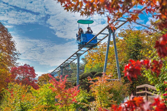 Special Private Tour Nami Island, Rail Bike, Petite France - Riding the old Gyeongchun Line at Gangchon