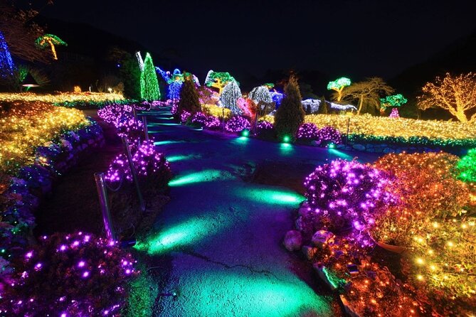 Strawberry & Eobi Valley & Nami Island & Garden of Morning Calm - The guide and group experience
