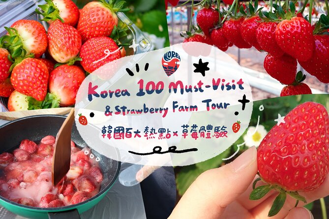 Strawberry Picking+Nami Island+Eobi Valley+Garden Lighting Fest - Key things to know before booking