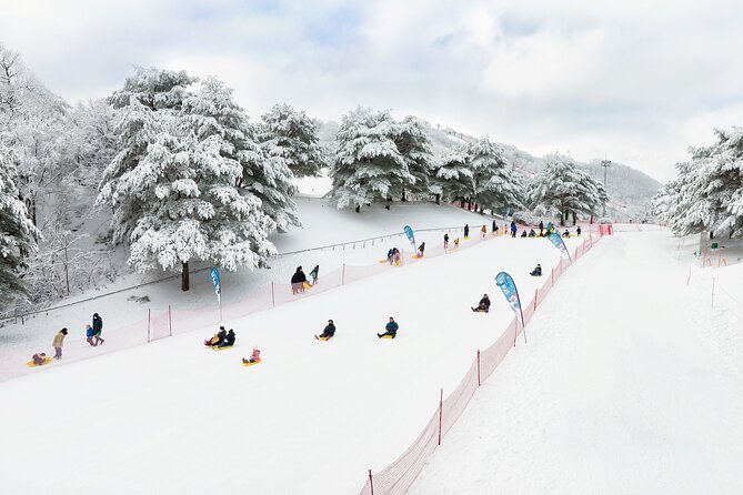 Strawberry Picking, Winter Sled with Eobi Ice Valley from Seoul - Three hours at Vivaldi Park Snowyland