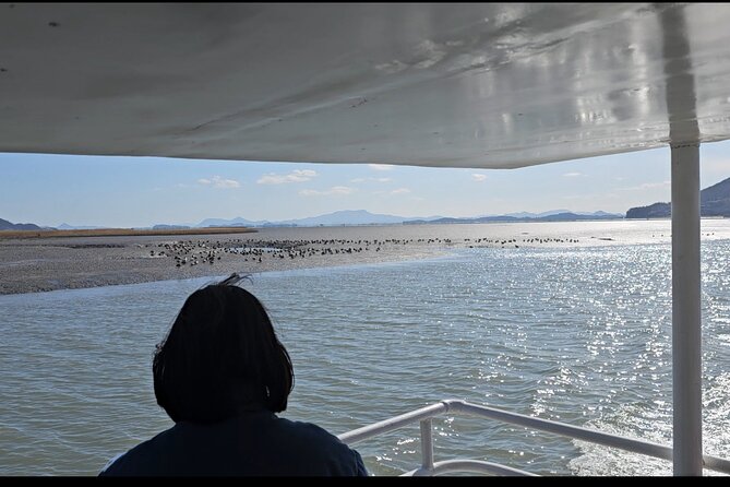 Suncheon and Yeosu Daily Private Tour with Pickup Service - Suncheon Bay Wetland Reserve: the day’s natural centerpiece