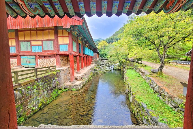 Suncheon one day tour from Seoul, Busan or Suncheon - Why Suncheon is worth a full day from Busan