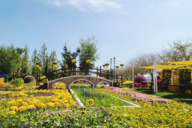 Suncheon one day tour from Seoul, Busan or Suncheon - Transport, timing, and what the $350 price buys