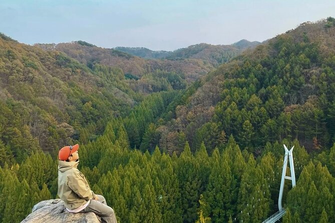 Suwon Hwaseong Fortress & Jangtaesan Full-Day Tour: Autumn Leaves - Why this 12-hour route works