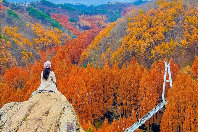Suwon Hwaseong Fortress & Jangtaesan Full-Day Tour: Autumn Leaves - The guides can shape the day