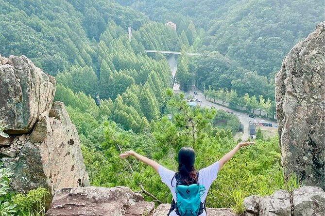 Suwon Hwaseong Fortress & Jangtaesan Full-Day Tour: Autumn Leaves - Who gets the most value from $59.57