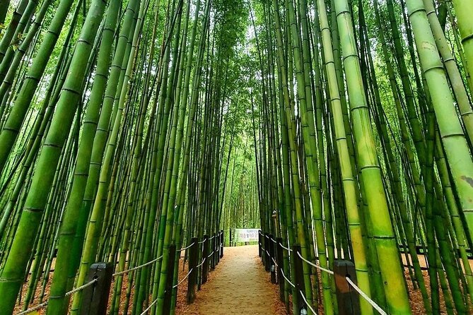 Ulsan Full Day Private Car Tour from Busan with a Certified Guide - Taehwagang Bamboo Forest: an easy riverside walk