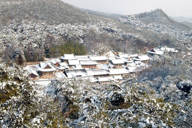 UNESCO Tongdosa Temple + Gourmet Eonyang Style Bulgogi Lunch - What the Guide Adds to the Temple Visit