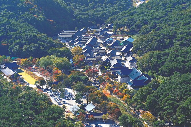 UNESCO Tongdosa Temple + Gourmet Eonyang Style Bulgogi Lunch - Who Will Enjoy This Tour Most?