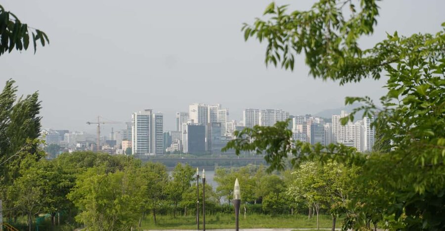 Unique Native Experience : Han River Picnic, Board game, BBQ - Five useful things to know before booking