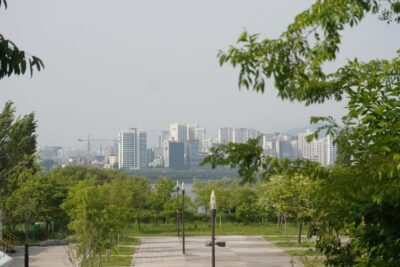 Unique Native Experience : Han River Picnic, Board game, BBQ