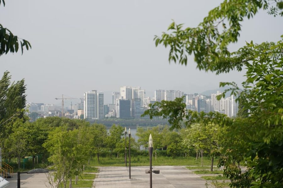 Unique Native Experience : Han River Picnic, Board game, BBQ - Starting with useful Korean phrases