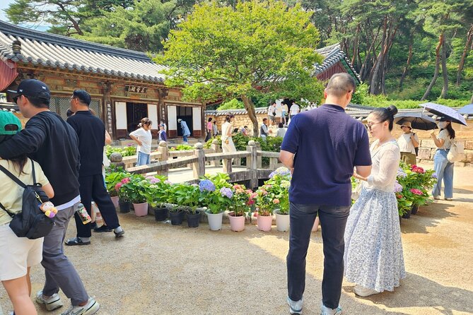 Untold Stories of Korea’s Spiritual Jewel at Tongdosa - Is the $104.14 price fair?