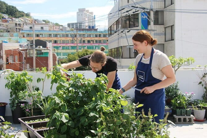Vegan Friendly Korean Food Cooking Class - Quick Points Before You Book