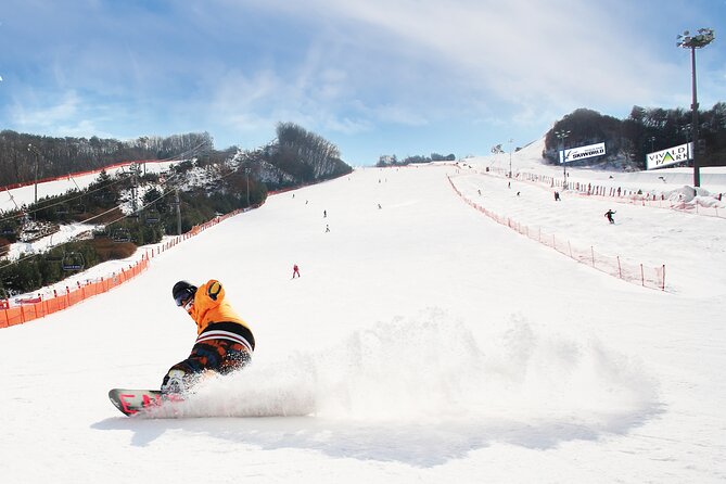 Vivaldi Park Winter Ski Resort with Nami Island Tour from Seoul - Why this Seoul day trip works