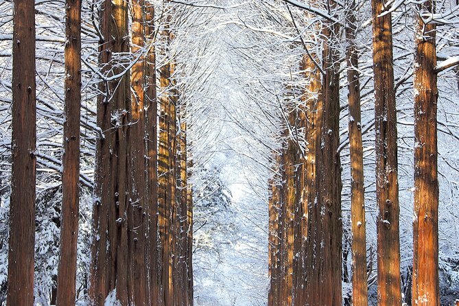 Vivaldi Park Winter Ski Resort with Nami Island Tour from Seoul - Ski clothing and safety costs to expect