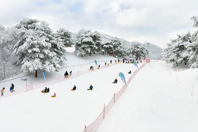 Vivaldi Park Winter Ski Resort with Nami Island Tour from Seoul - Nami Island after the ski session