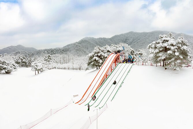 Vivaldi Park Winter Ski Resort with Nami Island Tour from Seoul - Transport, timing, and group size