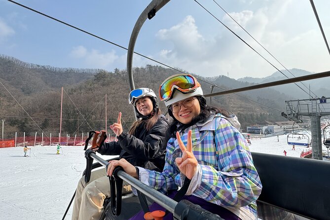 Vivaldi Park Winter Ski Resort with Nami Island Tour from Seoul - Picking the right package for your group