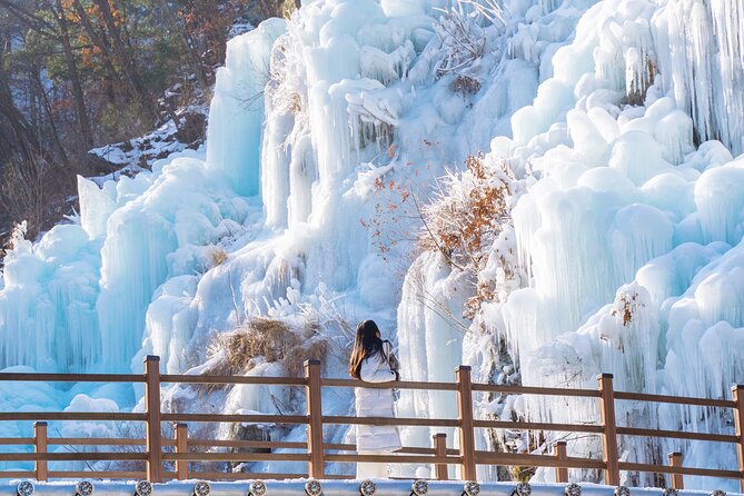 Vivaldi Park Winter Ski with Eobi Ice Valley Day Tour from Seoul - Who should book this winter day tour?