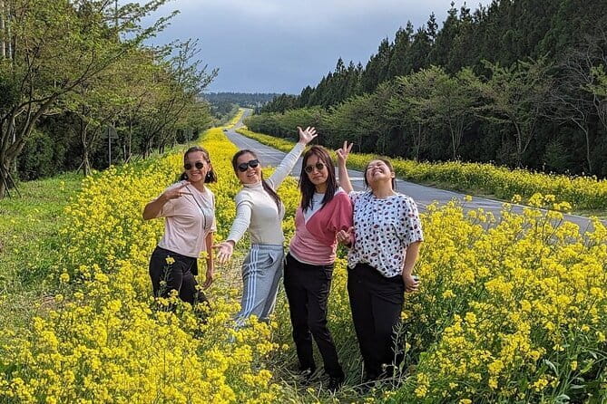 West of jeju private Jumbo taxi tour with Mr.KO (Suhong) - How the private Jeju format works