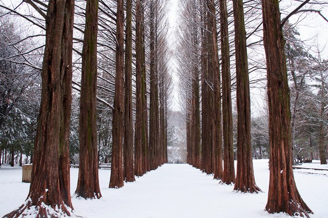 Winter Sonata TV Tour on Nami Island from Seoul - The 7:30 am departure and the long road from Seoul