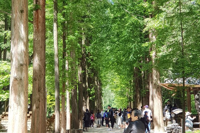 Winter Sonata TV Tour on Nami Island from Seoul - What you actually get at Petite France