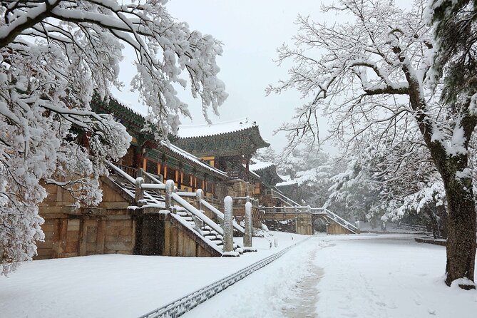 Winter Wonderland Healing Park and Gyeongju/Daegu Tour from Busan - Transport, group size, and the daily rhythm