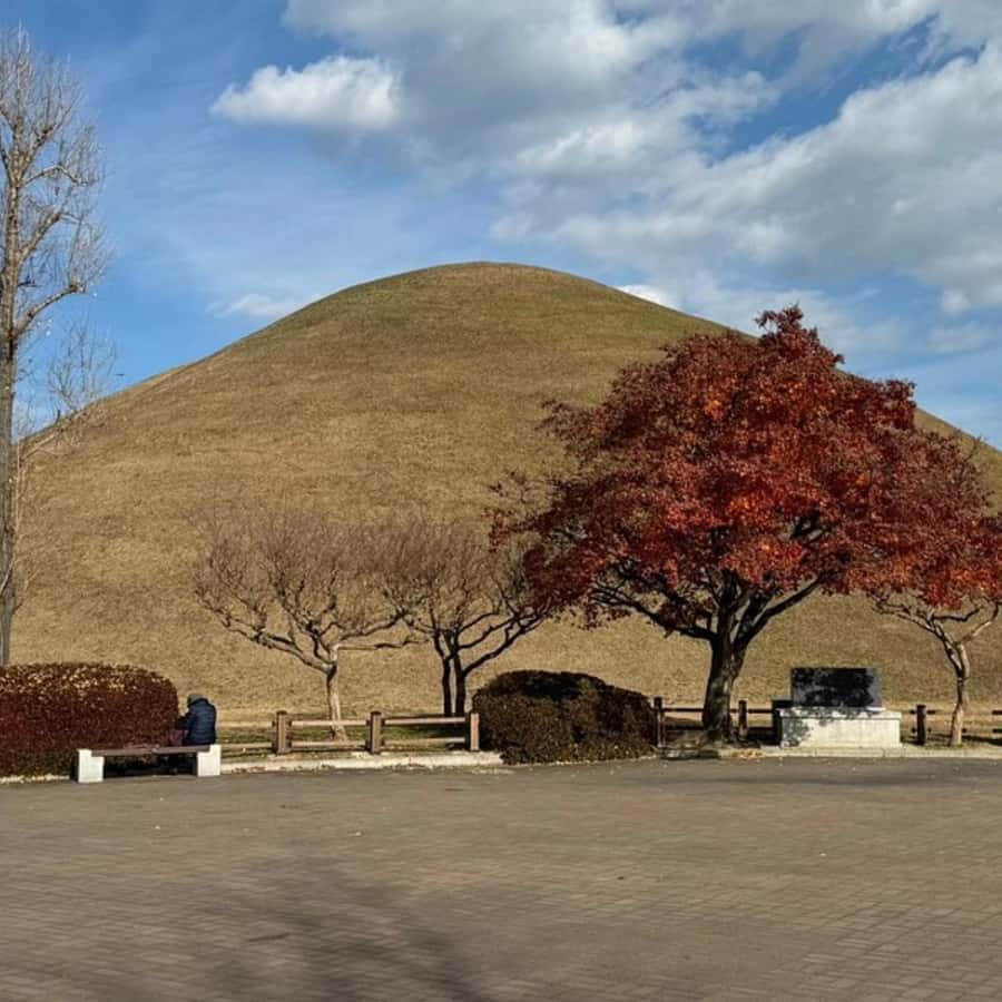 Yangdong village & Gyeongju Unesco Site Private Van Tour - Is $470 good value for your group?