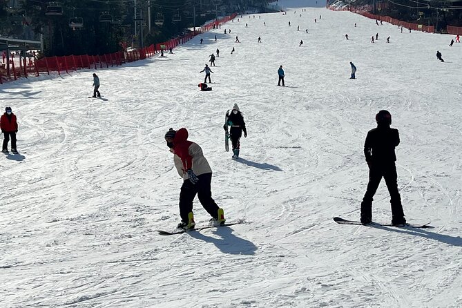 Yongpyong Ski Resort from Seoul with Optional Lesson and Packages - Choosing the Essential Package